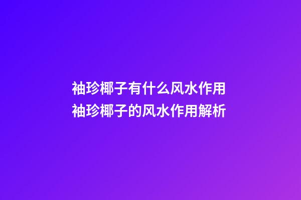 袖珍椰子有什么风水作用 袖珍椰子的风水作用解析